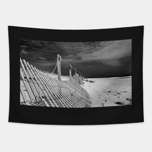 black sky/white sand Tapestry