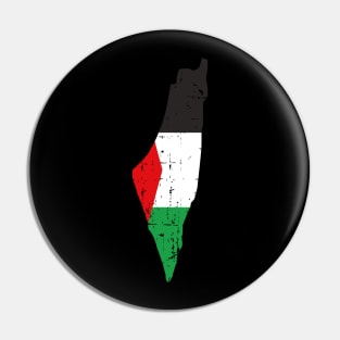 The Palestine Map And Flag - Falastine Wants Freedom Pin