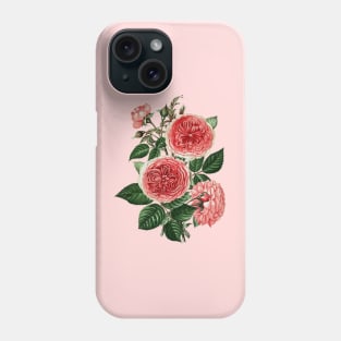 Pink Rose Flowers Botanical Illustration Phone Case