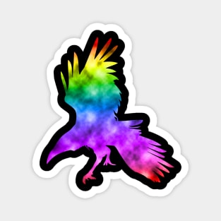 Rainbow Raven Magnet