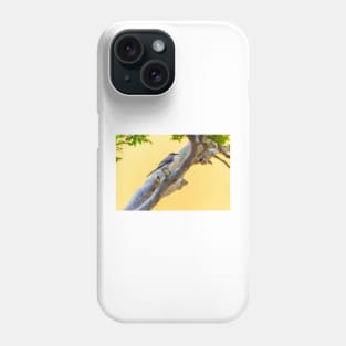 Tropical Mockingbird in Punda Curacao Phone Case