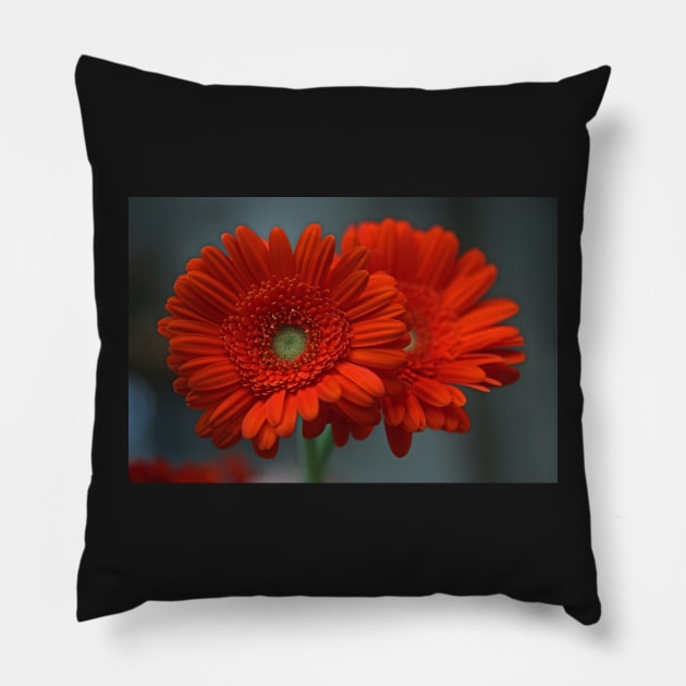 Together Pillow by gracethescene