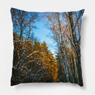 Winter landscape with snow-covered spruce forest. Pillow