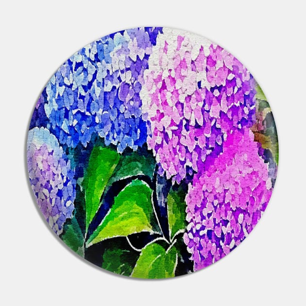 pink blue purple hydrangea flowers Pin by Banyu_Urip