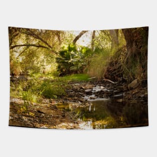 Photo of Peaceful Jungle Stream in California V1 Tapestry