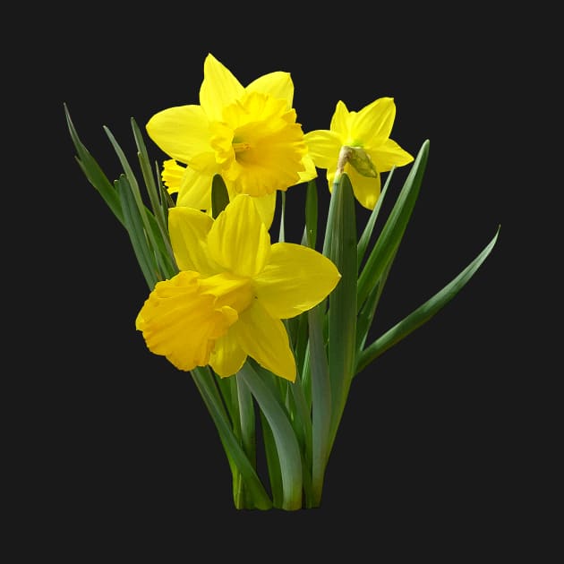 Daffodils - Three Daffodils Standing Guard by SusanSavad