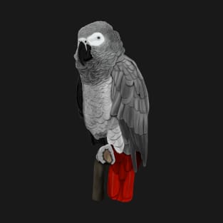 Grey Parrot Bird Birder Birdlover Birdwatcher Animal T-Shirt