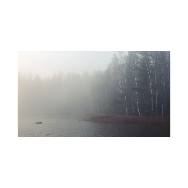 Foggy lake and forest by Juhku