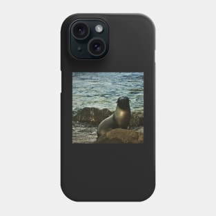 Baby Seal Cape Bridgewater Phone Case