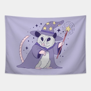 Opossum Wizard Tapestry