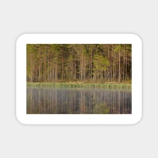 Forest reflecting to small lake at summer morning Magnet