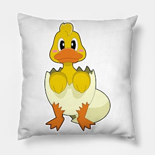 Duck Egg Egg shell Pillow