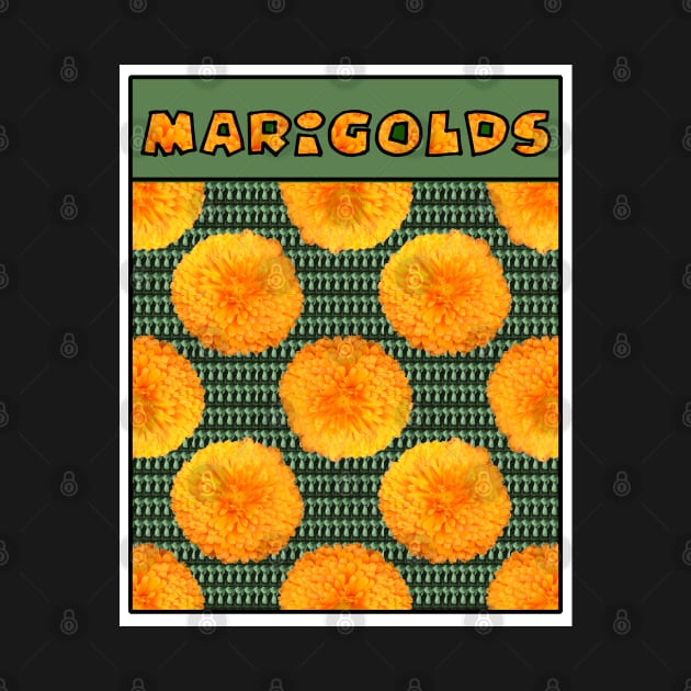 Marigolds by Heatherian