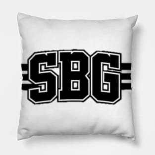 SkyBornGlobal Pillow