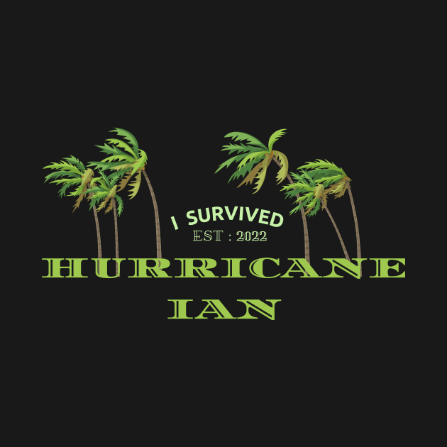 Hurricane Ian by Blumammal