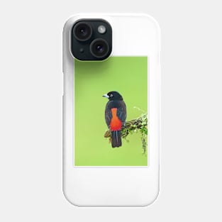 Passerini's Tanager - Costa Rica Phone Case