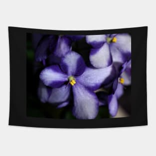 Violet & White Bi-colour African Violets Tapestry