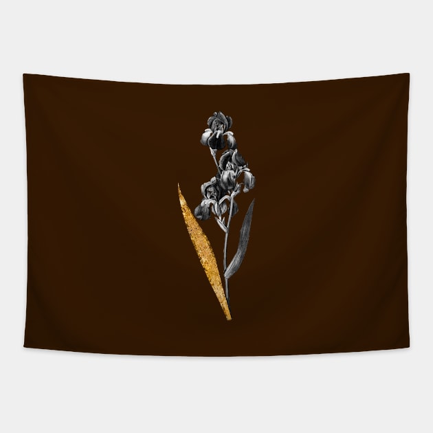 Black and Gold Leaf - Dalmatian Iris - Vintage Botanical Tapestry by Holy Rock Design