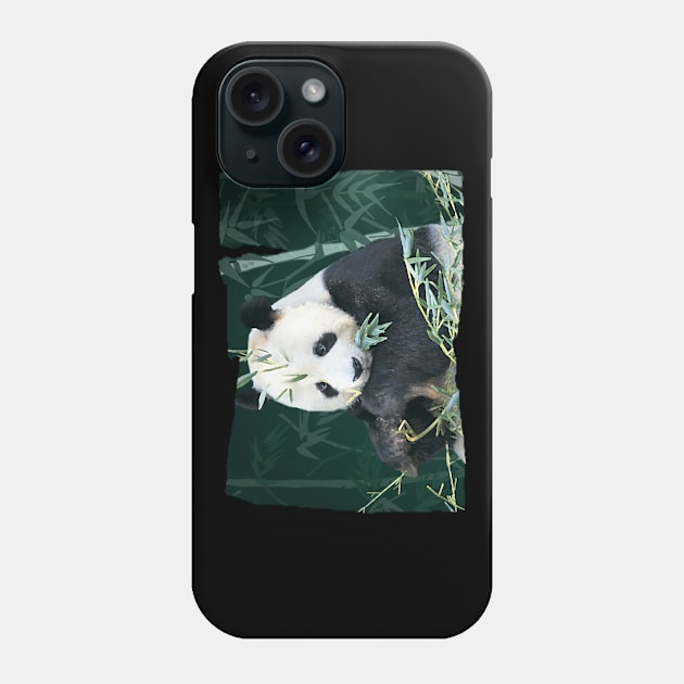 Panda With Bamboo Phone Case by quingemscreations