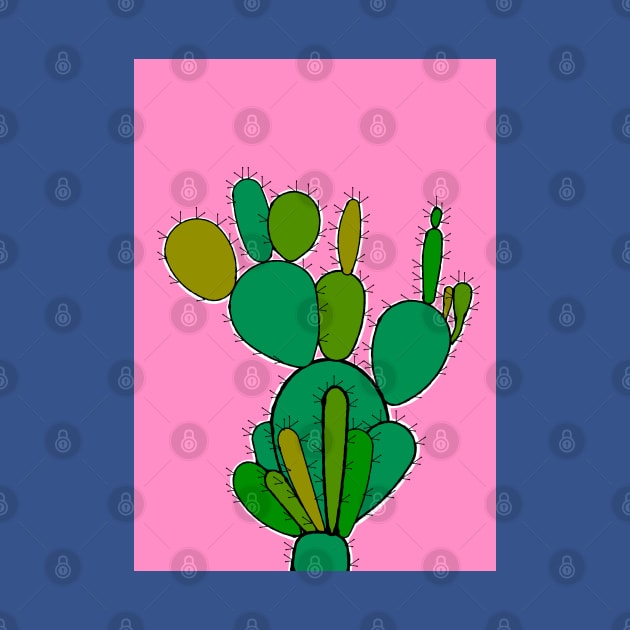 Cacti by AdamRegester