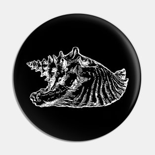 Seashell Pin