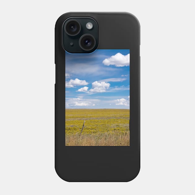 New Mexico landscape. Phone Case by sma1050