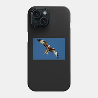 Red Kite in Flight Phone Case