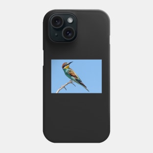 European Bee-eater, South Africa Phone Case