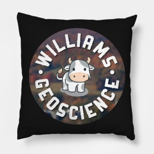 williams college geoscience Pillow