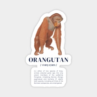 Orangutan - Animal Dictionary Definition Magnet