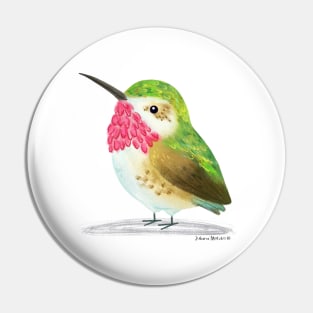 Calliope Hummingbird Pin