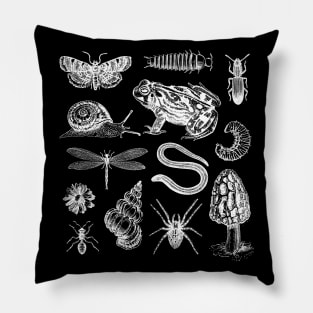 Vintage Goblincore Biology Frogs, Snails, Moths, Mushrooms Pillow