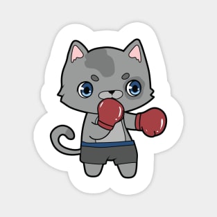 Cat at Boxing with Boxing gloves Magnet