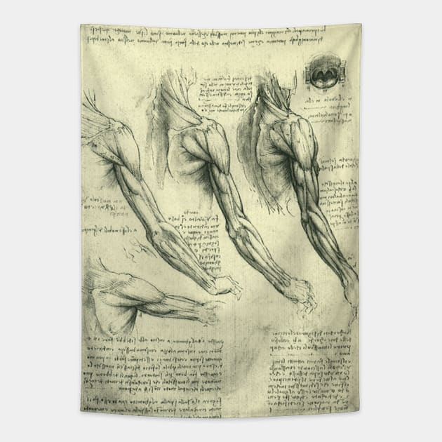 Human Anatomy Arm and Shoulder by Leonardo da Vinci Tapestry by MasterpieceCafe