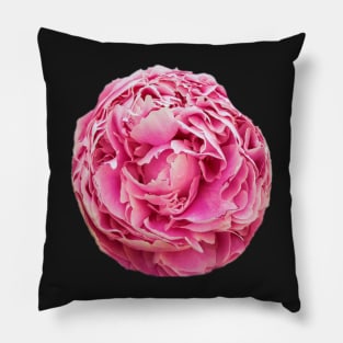 Peony arrangement Pillow