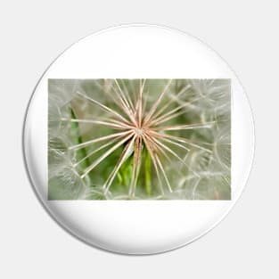 Heart Of A Dandelion Pin