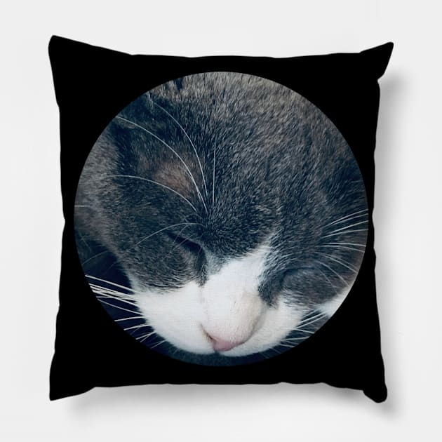 Sleeping Cat / Pictures of My Life Pillow by nathalieaynie