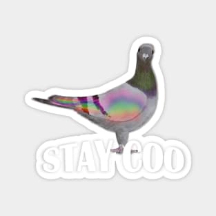 Stay Coo, says the Pigeon Magnet