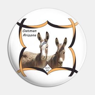 Wildlife, gifts, wild burros, Oatman, Arizona, Route 66 Pin