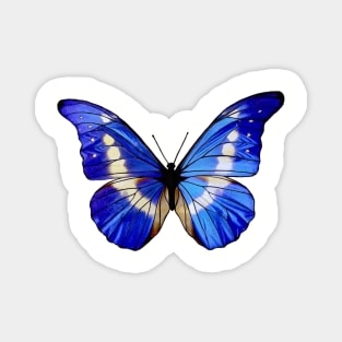 Beautiful Blue Butterfly Magnet