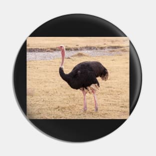 Ostrich Pin