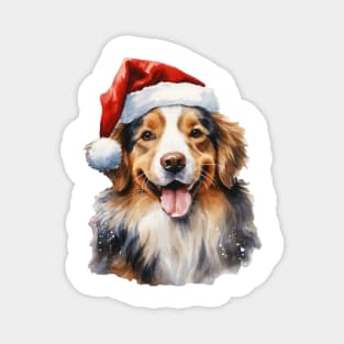 Bernese Mountain Dog New Year Christmas Magnet