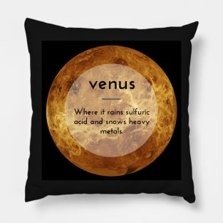 Venus Science Trivia Pillow