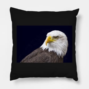 Bald Eagle Pillow