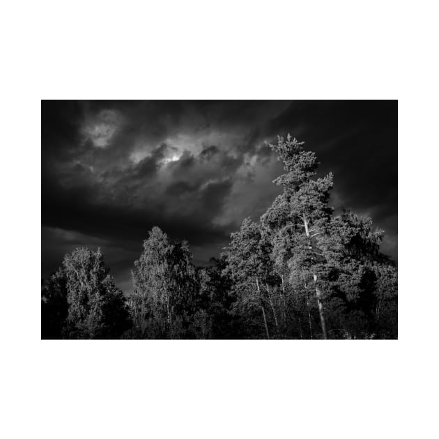 Dramatic clouds in the sky over the dark Swedish forest by connyM-Sweden