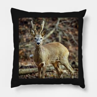 Roe buck in the forest Pillow