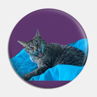 Funny Tabby Pin