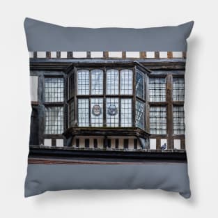 What a Pane Pillow