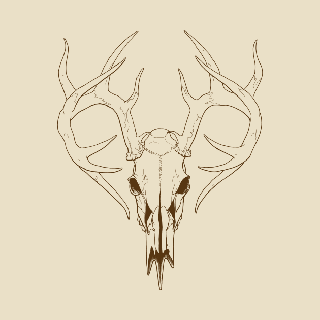 Deer Skull by Ian Moss Creative