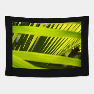 Coconut Palm Tapestry